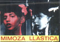 Mimoza Llastica